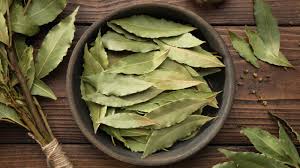 Bay Leaves – Ritual Herb for Spells, Manifestation & Protection -- by Moon Water Apothecary!